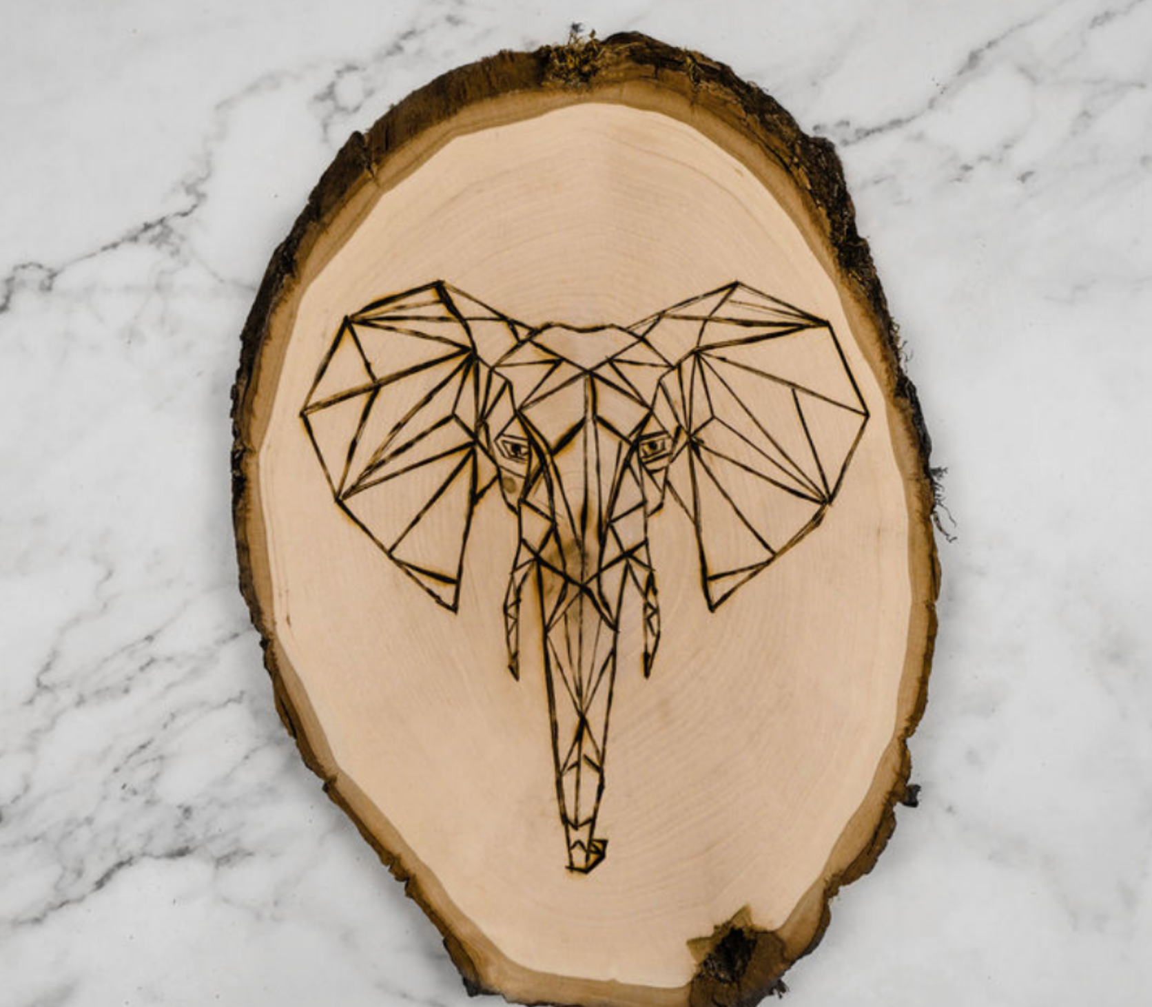 Wood Burning Craft Party Pack