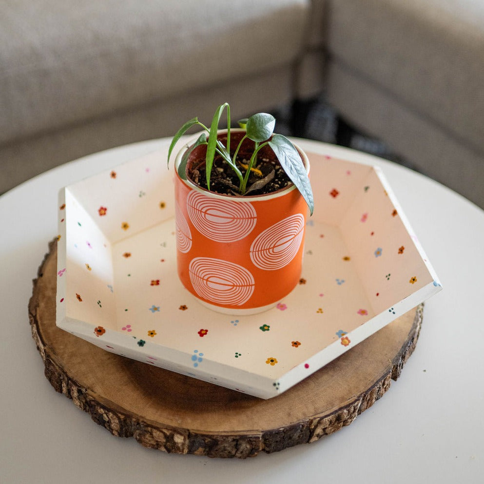 Hexagon Tray Craft Party Pack